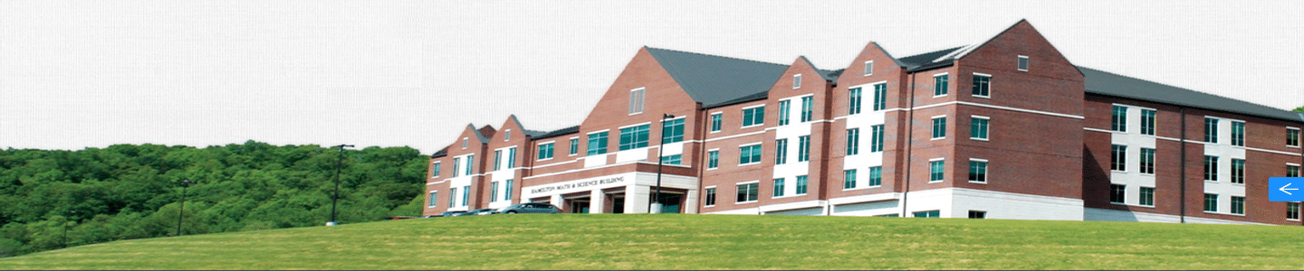Lincoln Memorial University banner